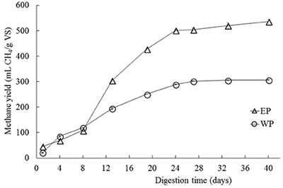 Assessing the Effect of Pretreatments on the Structure and Functionality of Microbial Communities for the Bioconversion of Microalgae to Biogas